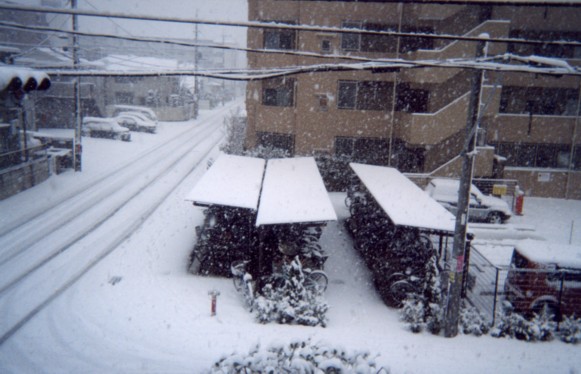 Dec.31.2004 We had great snow in Japan!